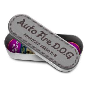 Advanced Seeds Auto Fire Dog