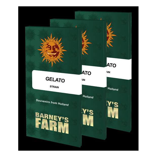 Barneys Farm Gelato 5 pcs feminised
