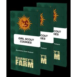 Barneys Farm Girl Scout Cookies 3 Stk feminisiert