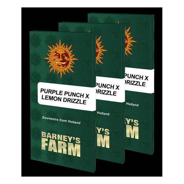 Barneys Farm Purple Punch X Lemon Drizzle 3 pcs feminised