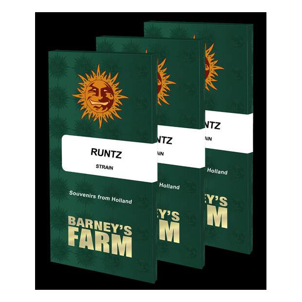 Barneys Farm Runtz 5 Stk feminisiert