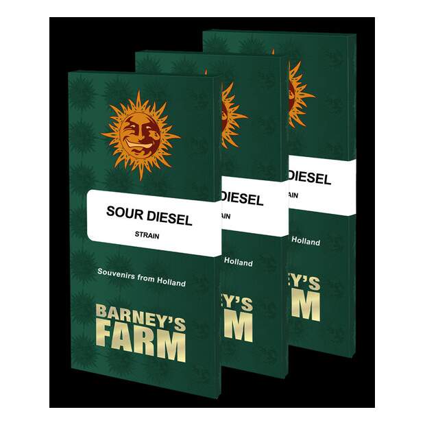 Barneys Farm Sour Diesel 5 pcs feminised