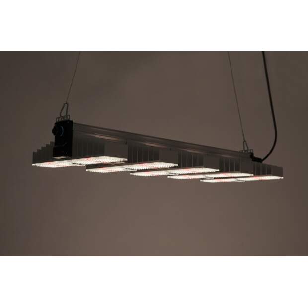 SANlight LED Leuchte EVO 5-100 1.5