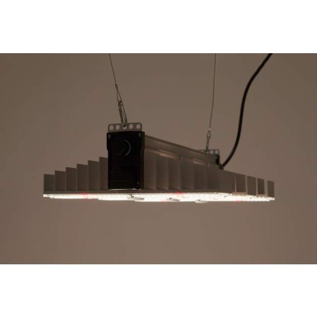 SANlight LED Leuchte EVO 3-60 1.5