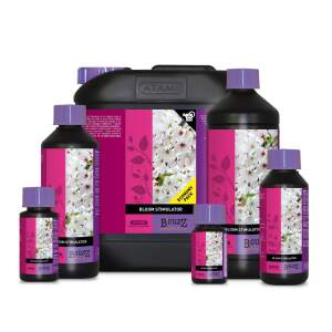 B´cuzz Bloom Stimulator