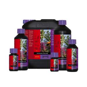 B´cuzz Coco Bloom Stimulator
