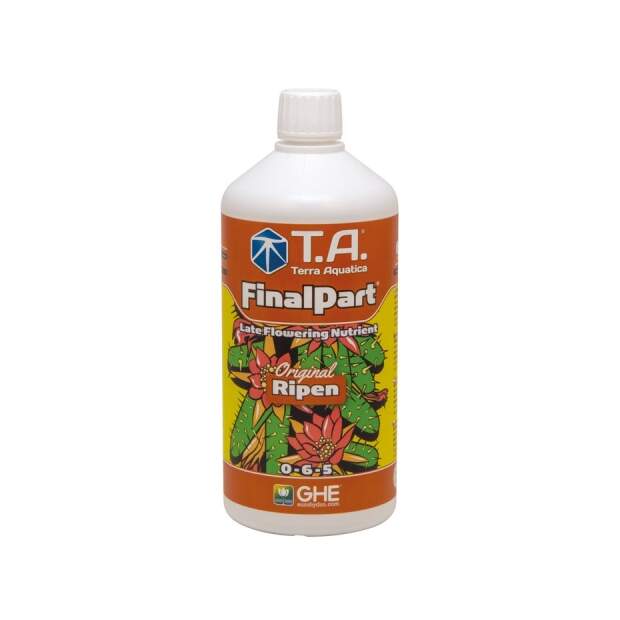 GHE Finalpart (Ripen)