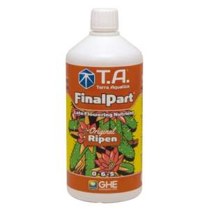 GHE Finalpart (Ripen)