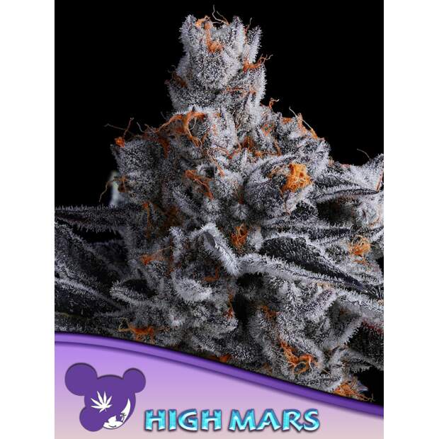 Anesia Seeds High Mars 5 Stk feminisiert