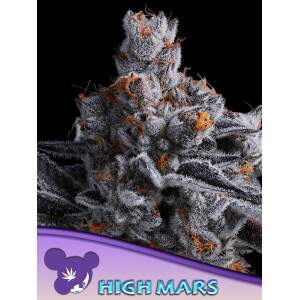 Anesia Seeds High Mars 5 Stk feminisiert