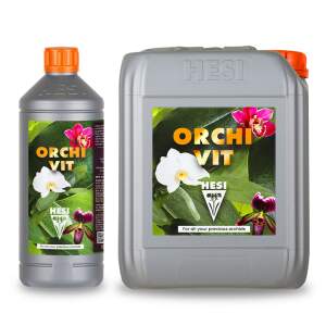 Hesi Orchivit