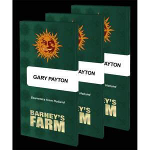Barneys Farm Gary Payton