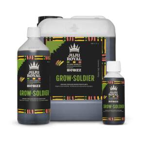 Juju Royal Grow Soldier