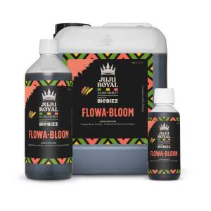 Juju Royal Flowa Bloom