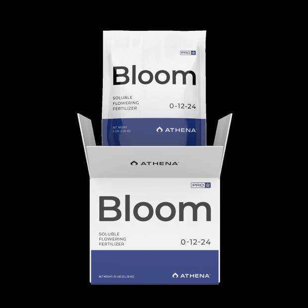 Athena Pro Line Bloom