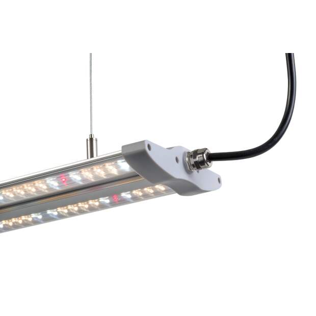Hortimol Tled Bar 40W