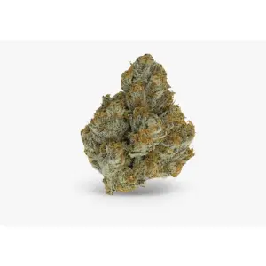 Growers Choice Blue Zushi 5 pcs feminised