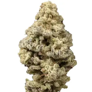 Growers Choice Mac n Cheese