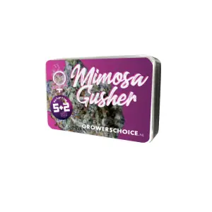 Growers Choice Mimosa Gusher 3 Stk feminisiert