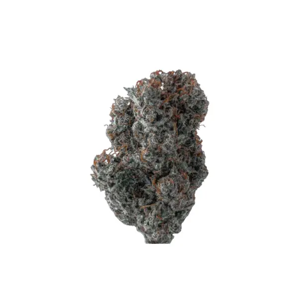 Growers Choice Applez and Bananaz 5 Stk feminisiert