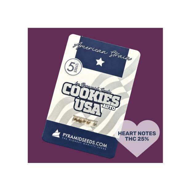 Pyramid Seeds Auto Cookies USA 3 Stk feminisiert