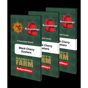 Barneys Farm x Backpack Boyz Black Cherry Gushers