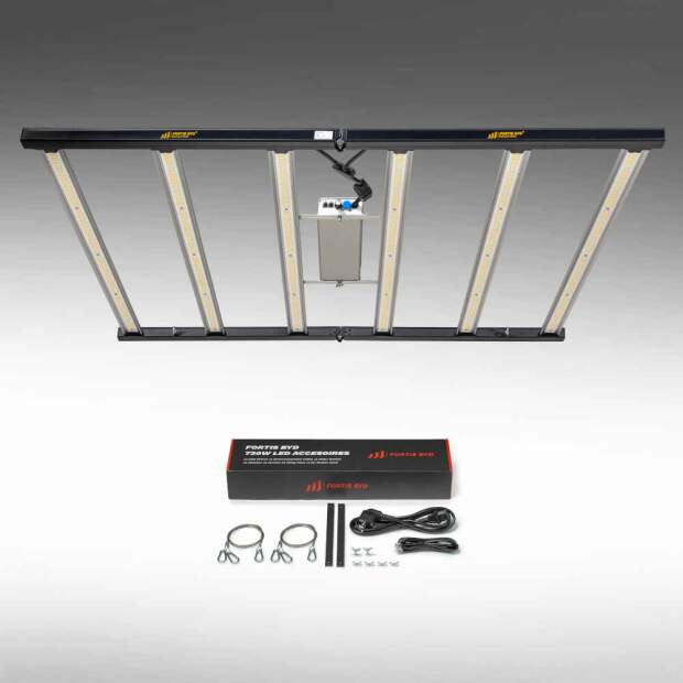 Fortis BYD 720W LED 2.7 mmol