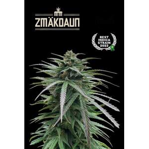 Seedstockers Zmäkdaun