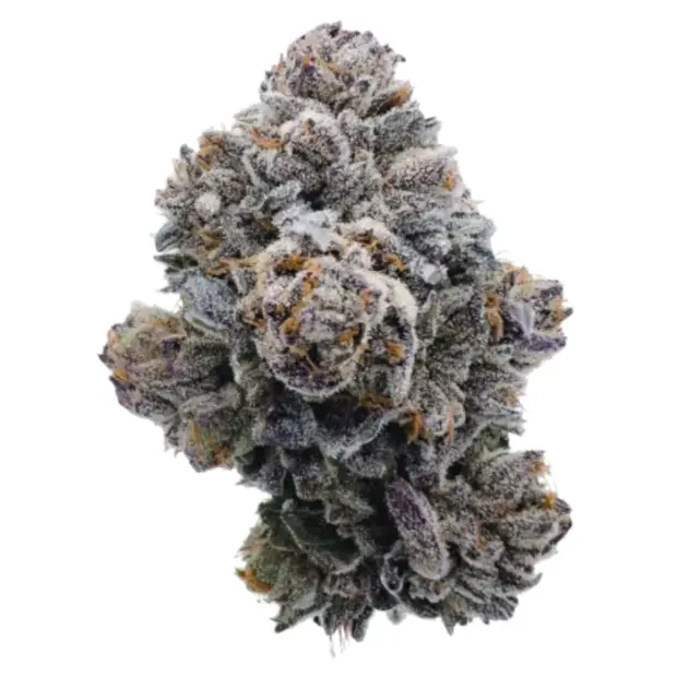 Growers Choice Pink GlitterBomb 3 pcs feminised