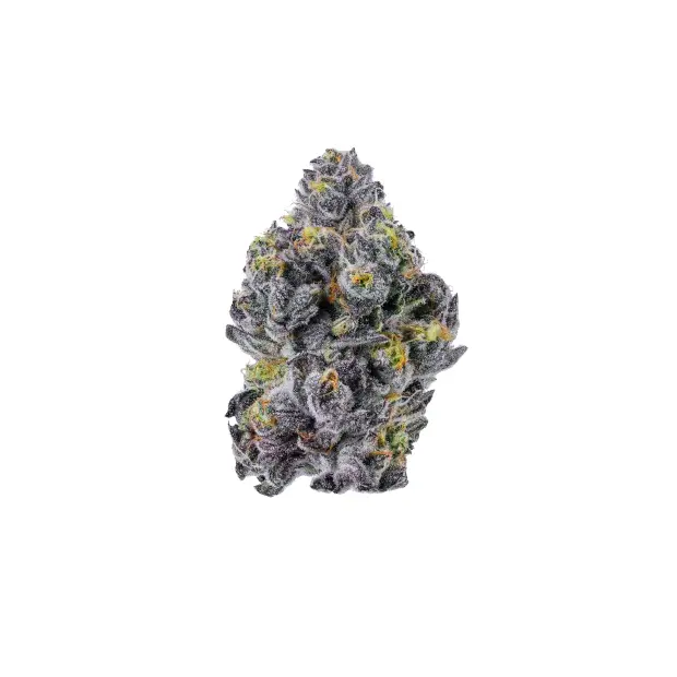 Growers Choice Triploid F1 Sticky Wasabi 3 pcs feminised
