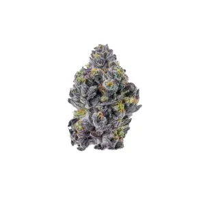Growers Choice Triploid F1 Sticky Wasabi 5 pcs feminised
