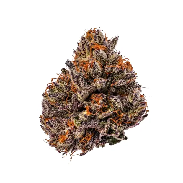 Growers Choice Triploid F1 Tropicana Cherry 3 Stk feminisiert