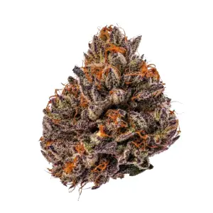 Growers Choice Triploid F1 Tropicana Cherry 3 Stk...