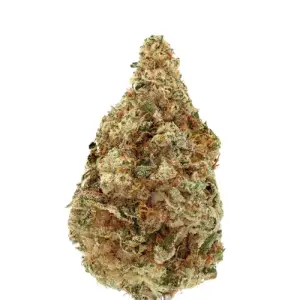 Growers Choice Charlottes Dream CBD Auto