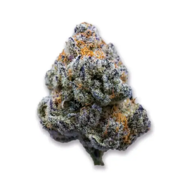 Growers Choice Platinum Mimosa Cookies Fast Version