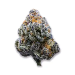 Growers Choice Platinum Mimosa Cookies Fast Version