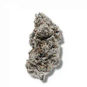 Growers Choice Tangerine Sherbet