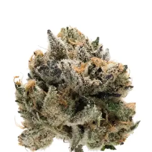 Growers Choice Tropical Cookies Double XL Auto