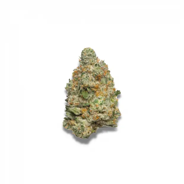 Growers Choice Apple Fritter Auto 3 pcs feminised