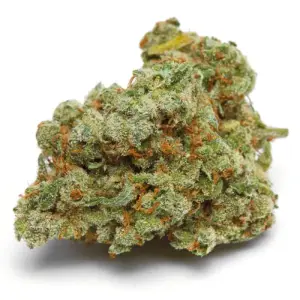 Growers Choice Double XL Banana Sherbet 3 pcs feminised