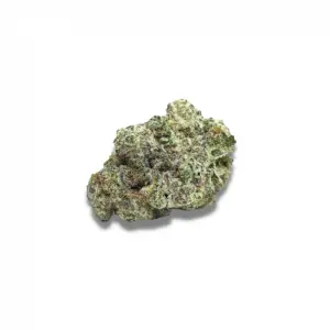 Growers Choice MAC1 Auto 5 Stk feminisiert