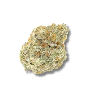Growers Choice Permanent Whitemarker Autoflower 3 pcs...