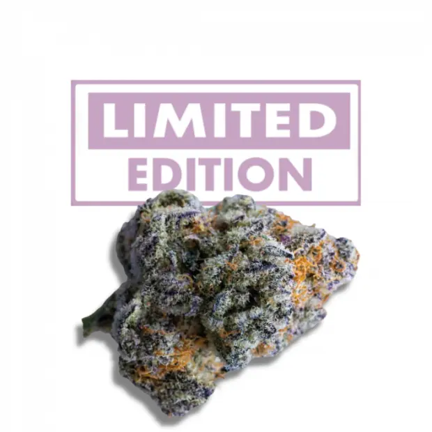 Growers Choice Platinum Mimosa Cookies Double XL Auto 5 pcs feminised