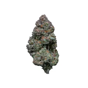 Growers Choice RS11 10 Stk feminisiert