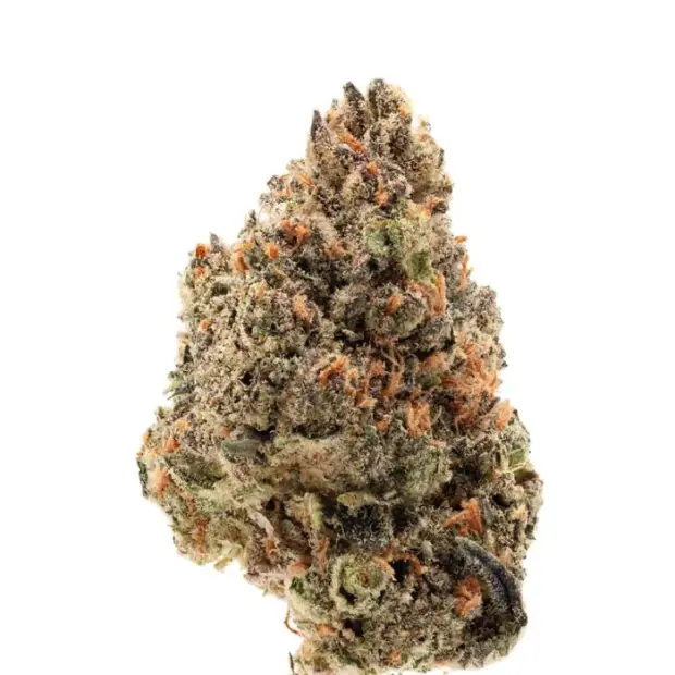 Growers Choice Tangie Punch 5 pcs feminised