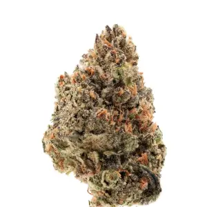 Growers Choice Tangie Punch 5 pcs feminised