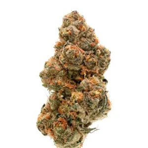 Growers Choice Weddingcake x Frosty Gelato Double XL Auto...