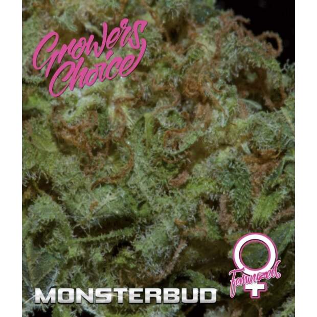 Growers Choice Monsterbud 10 pcs feminised