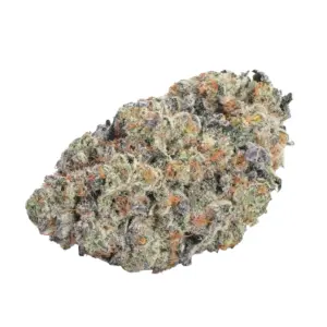 Growers Choice Double Donny Burger 10 Stk feminisiert