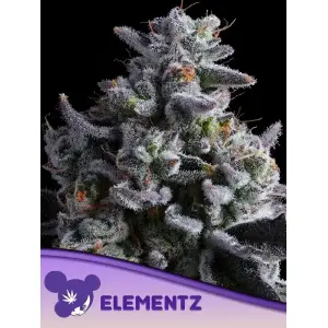 Anesia Seeds Elementz